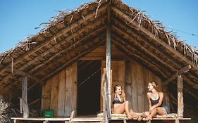 Jungle Surf Camp